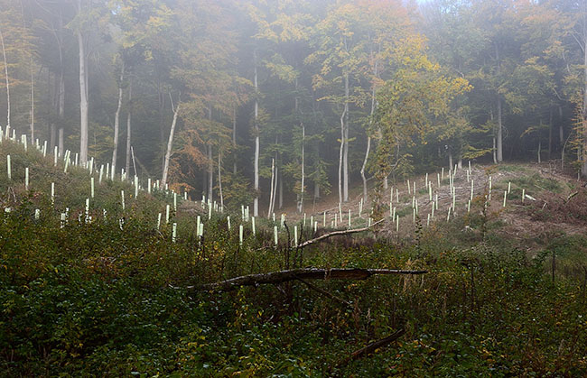 Diğer Hizmetlerimiz